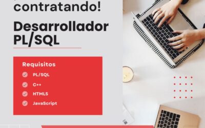Desarrollador/a PL/SQL